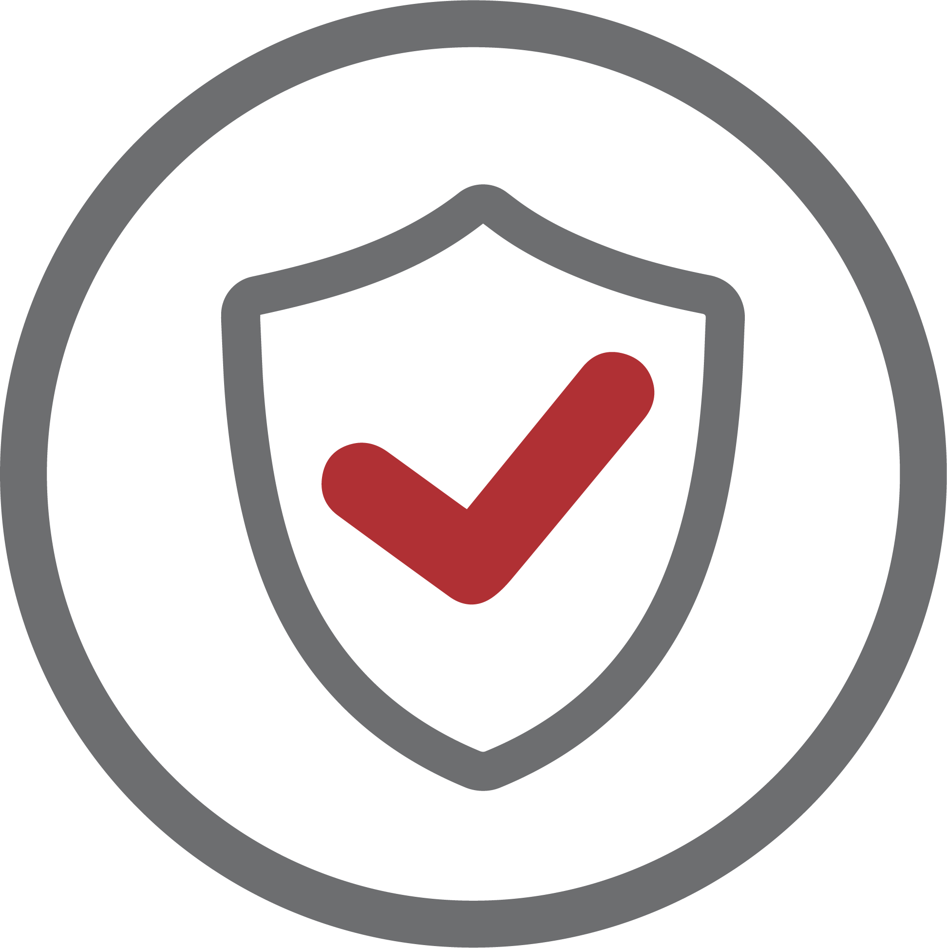 Privacy & Security in Medical Devices