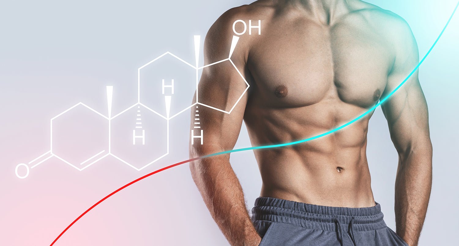 Understanding the Link Between Hair Loss & Increased DHT Production with Testosterone Hormone Replacement Pellets